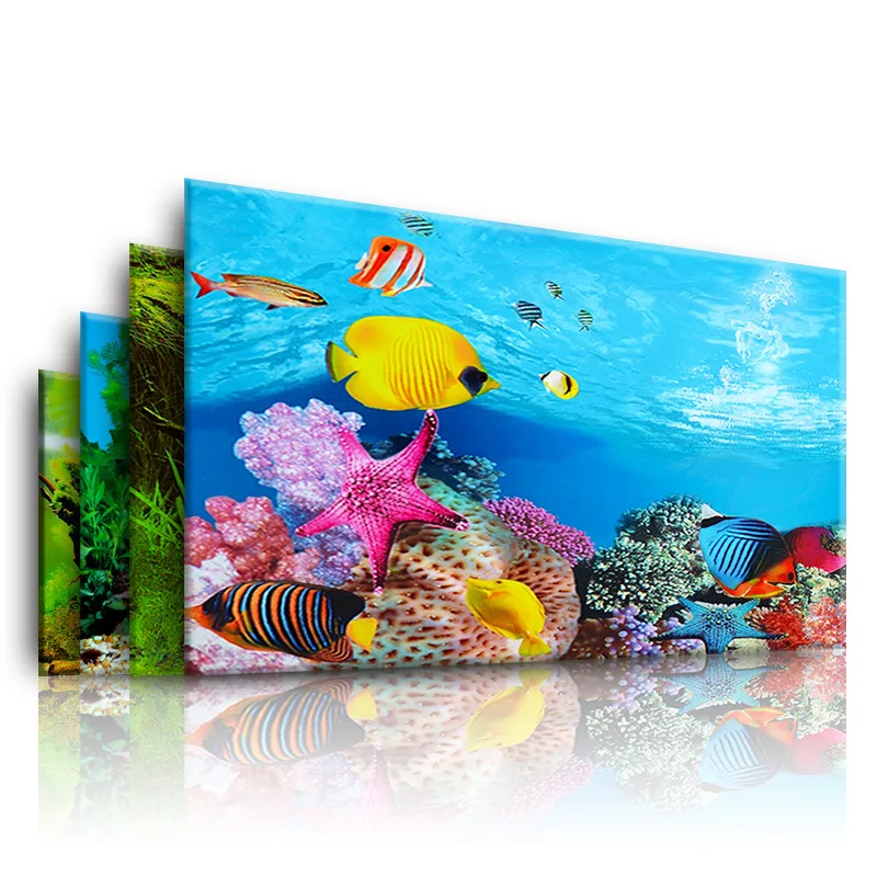 Marine Aquarium All In One - Nền Cho Bể Cá 3d Dán