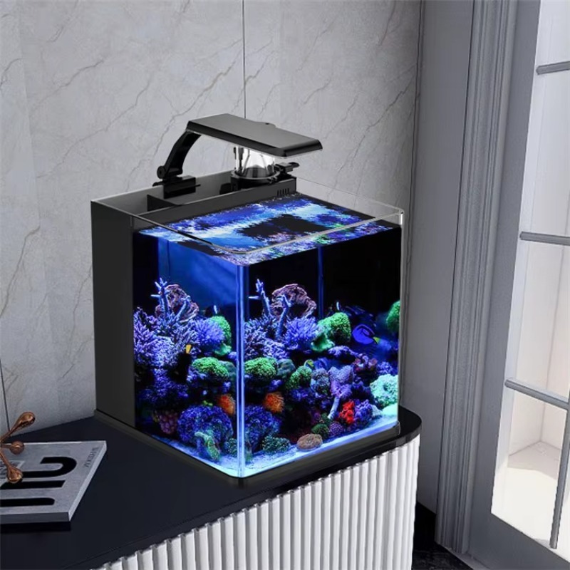 Ultra Clear Glass Mini Salt Wa - đánh giá và giá Marine Aquarium In Clearwater