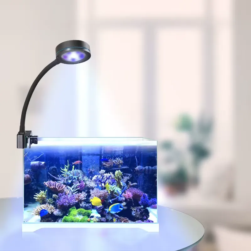 Aquasanrise Full Spectrum Cora - đánh giá và giá Aquarium Blue Marine Reef