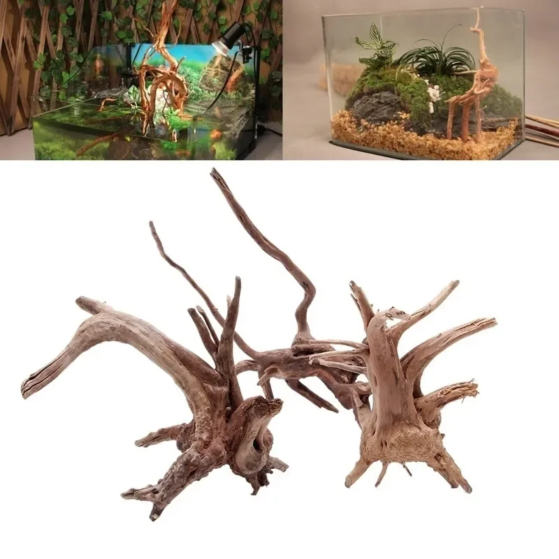 Natural Tree Trunk Driftwood A - đánh giá và giá Marine Aquarium All In One