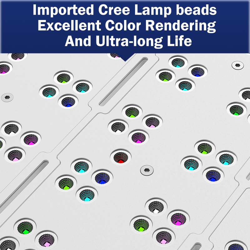 Hot KASSRAY T169/T215 CREEs LE - đánh giá và giá Aquarium Marine Lights