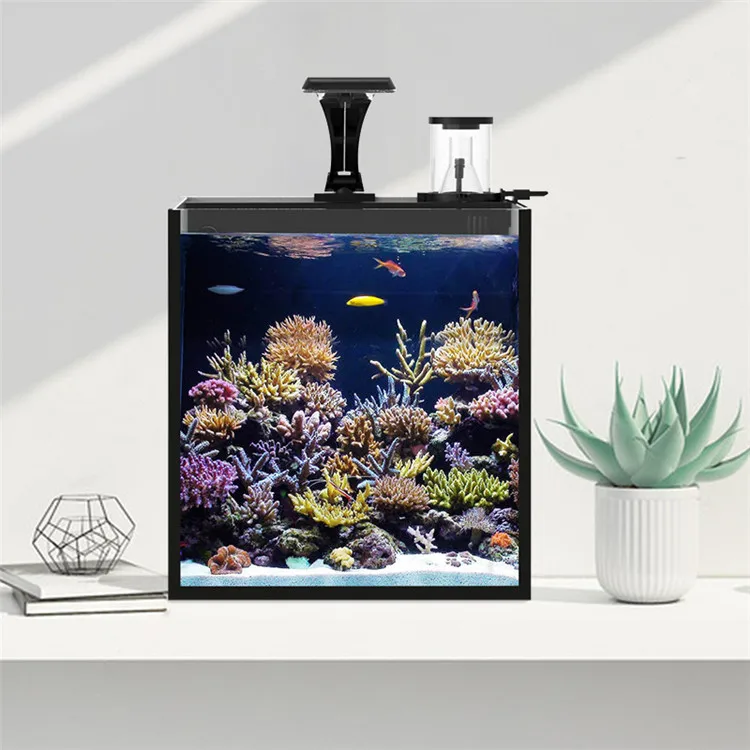 Latest Model Clear Glass Mini  - đánh giá và giá Marine Aquarium In Clearwater