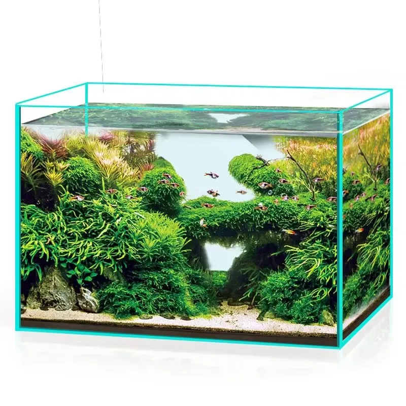 Ultra Clear Glass Aquarium Fis - đánh giá và giá Marine Aquarium In Clearwater