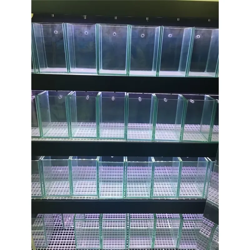 Ultra Clear Glass Aquarium Fis - đánh giá và giá Marine Aquarium In Clearwater