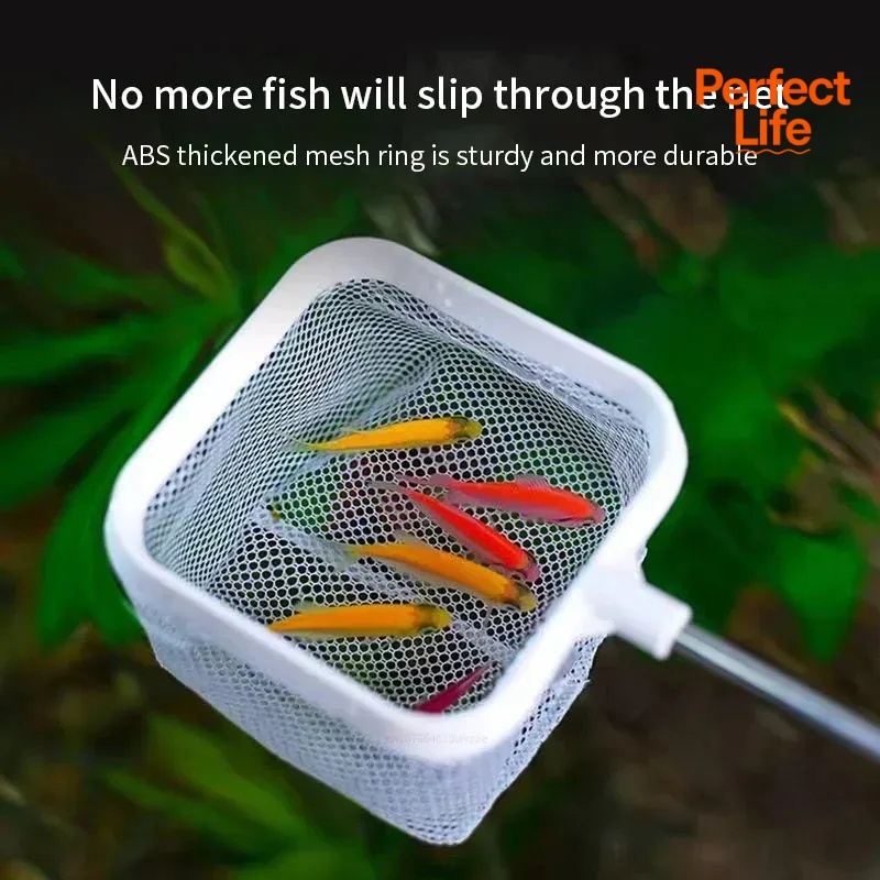1、2Pcs Stainless Steel Fishing - đánh giá và giá Aquarium Marineland