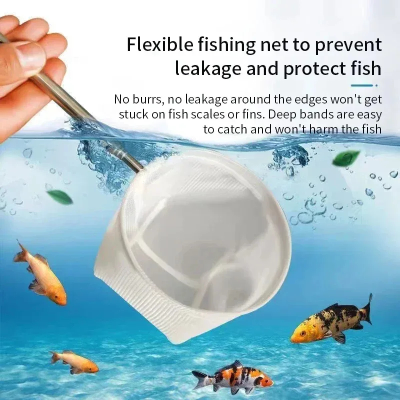 1、2Pcs Stainless Steel Fishing - đánh giá và giá Aquarium Marineland