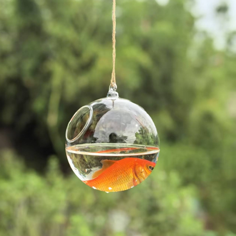 Small Packing Diameter=10cm 12 - đánh giá và giá Aquarium & Marine Museum Ums
