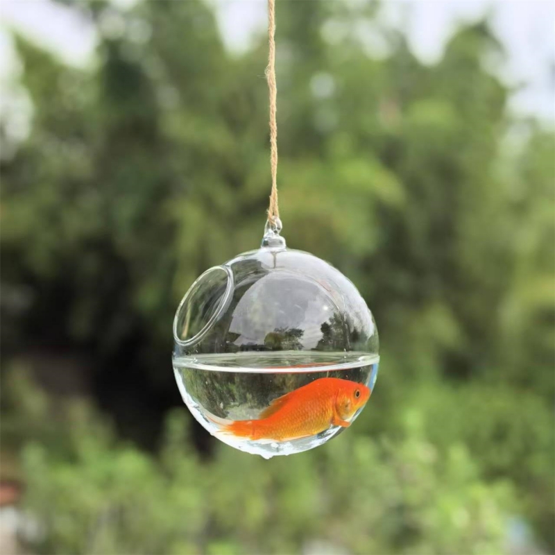 Small Packing Diameter=10cm 12 - đánh giá và giá Aquarium & Marine Museum Ums