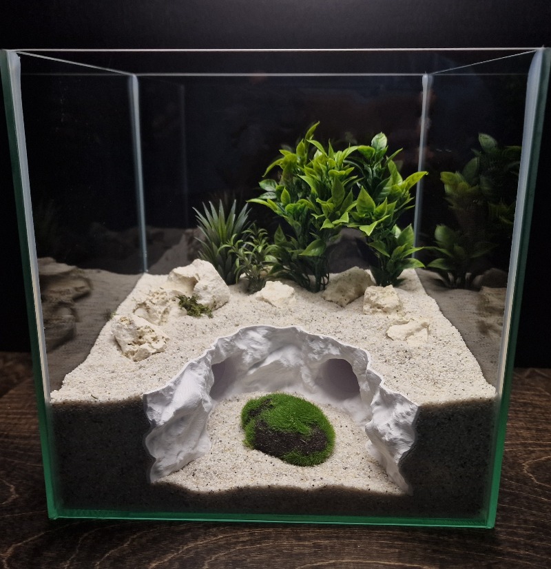 2-in-1 Water & Land Hiding Cav - đánh giá và giá Aquarium Marineland