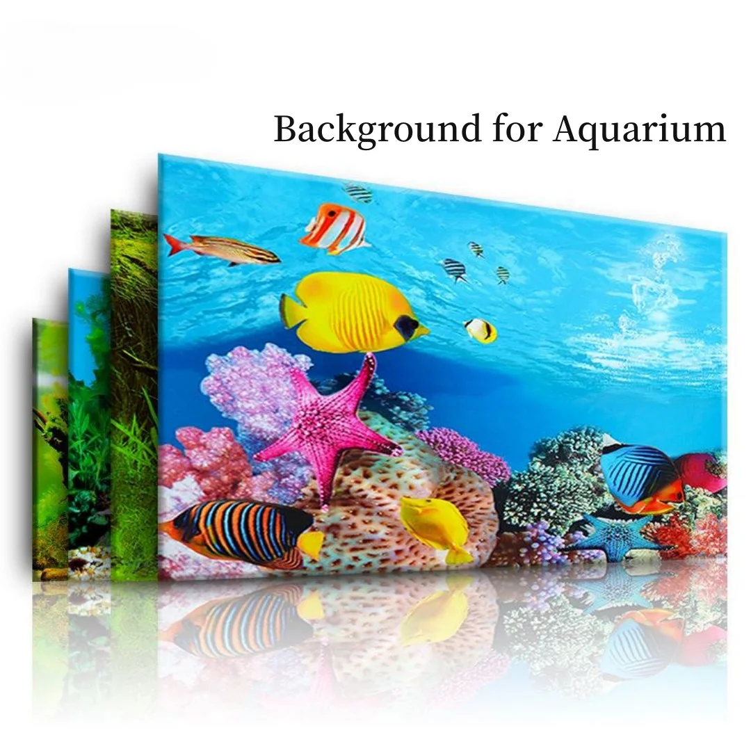 Background Aquarium 3D Sticker - đánh giá và giá Marine Aquarium All In One
