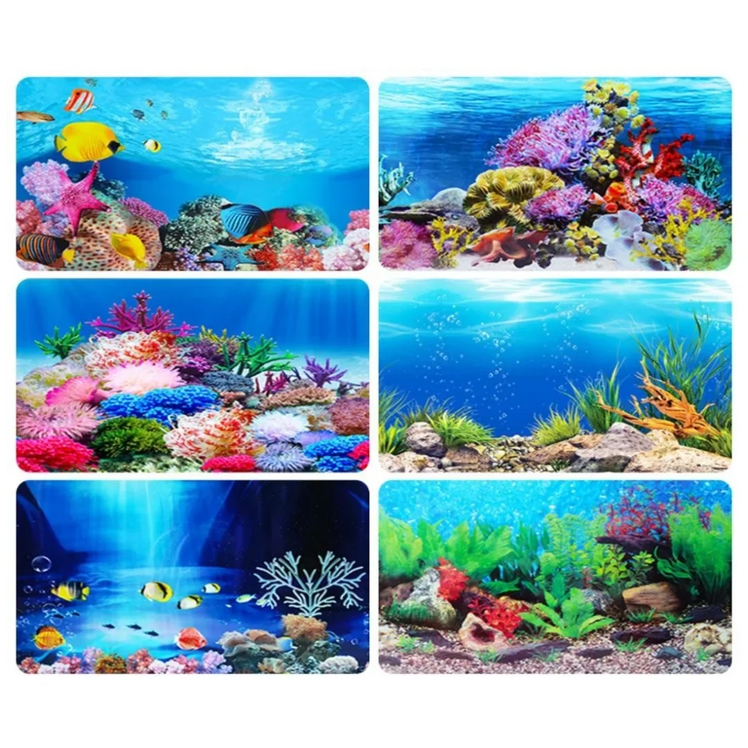 Background Aquarium 3D Sticker - đánh giá và giá Marine Aquarium All In One
