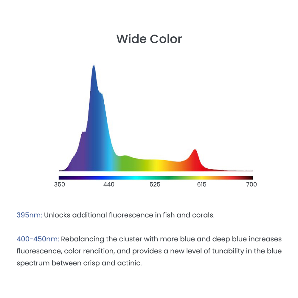 A8 Se II Max and Blue 240W LED - đánh giá và giá Aquarium Blue Marine Reef