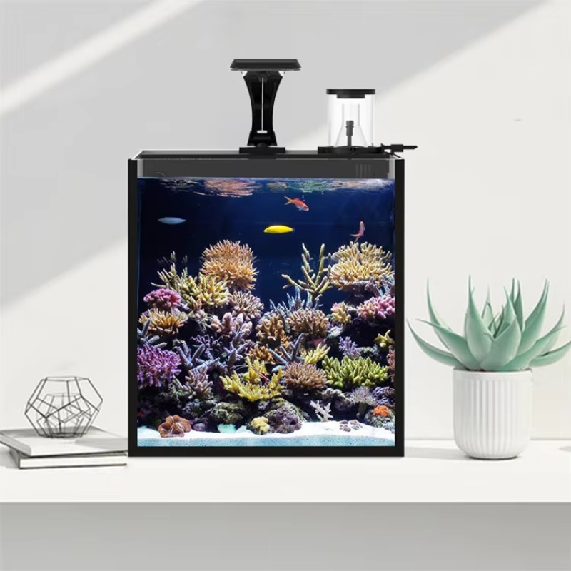 Ultra Clear Glass Mini Salt Wa - đánh giá và giá Marine Aquarium In Clearwater