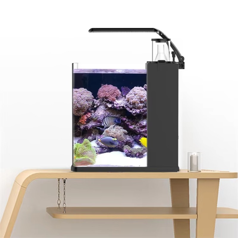 Ultra Clear Glass Mini Salt Wa - đánh giá và giá Marine Aquarium In Clearwater
