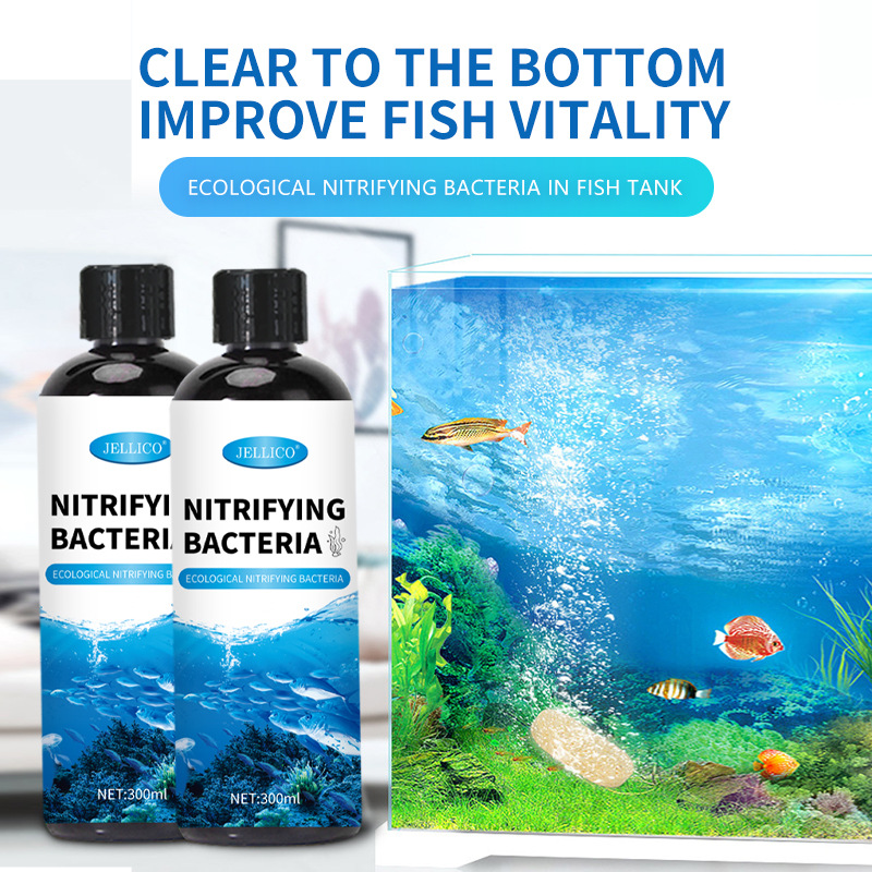 300ml Nitrifying Bacteria Aqua - đánh giá và giá Marine Aquarium In Clearwater