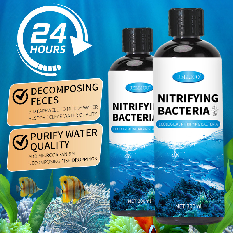 300ml Nitrifying Bacteria Aqua - đánh giá và giá Marine Aquarium In Clearwater