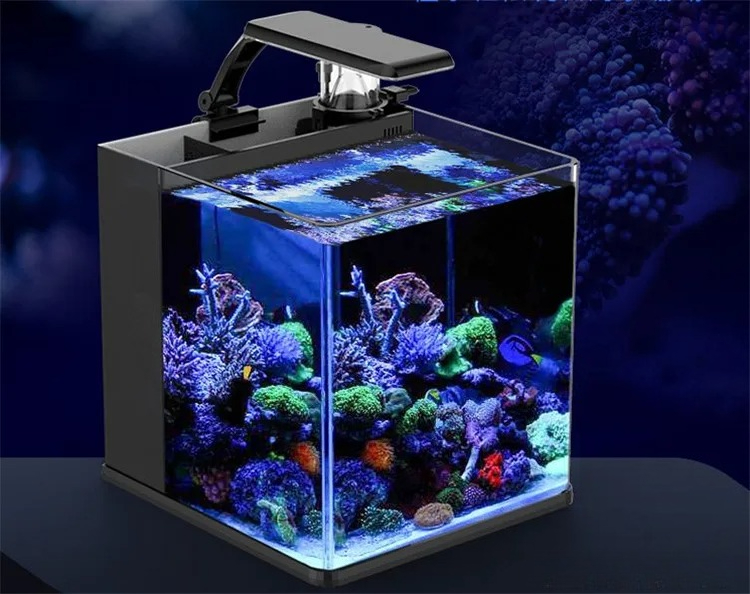 Ultra Clear Glass Mini Salt Wa - đánh giá và giá Marine Aquarium In Clearwater