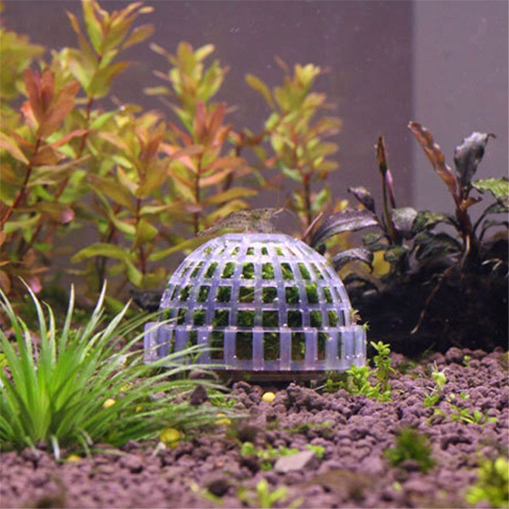New Plastic Suspension Moss Do - đánh giá và giá Marine Aquarium All In One