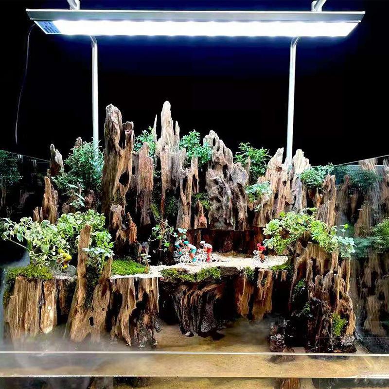 △ Shrimp Wood Aquarium Decor,  - đánh giá và giá Marine Aquarium All In One