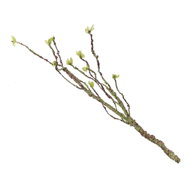 Vines Decor Climbing Branches  - đánh giá và giá Marine Aquarium Hobby