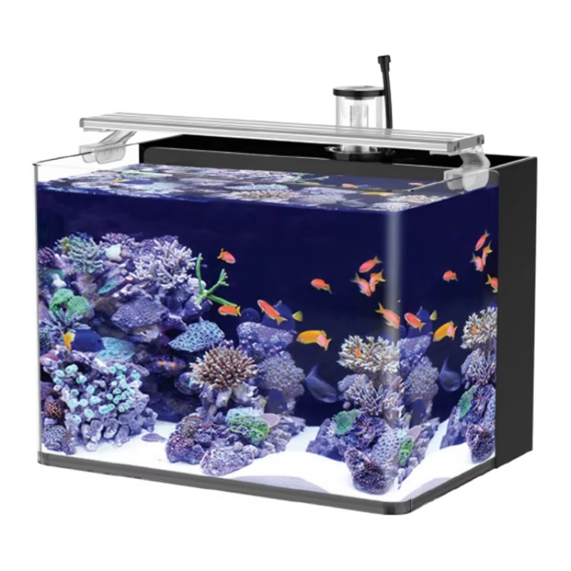 Table Curved Saltwater Marine  - đánh giá và giá Marine Aquarium All In One