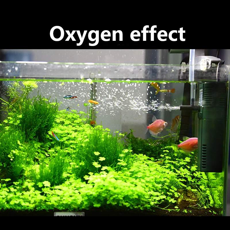 SUNSUN Nano Mini Xây Dựng Nội  - đánh giá và giá Marine Aquarium Par Meter